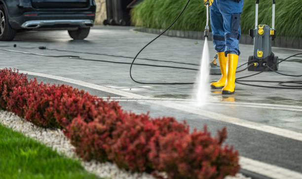 Best Soft Washing  in Ladera, CA